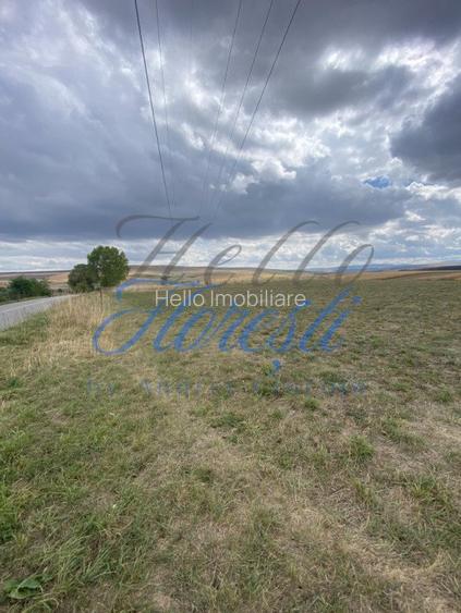 Teren de 1833 mp sat rediu - 3