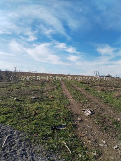 Techirghiol (cod04)-Teren 440 mp ideal investitie constructie casa - 3
