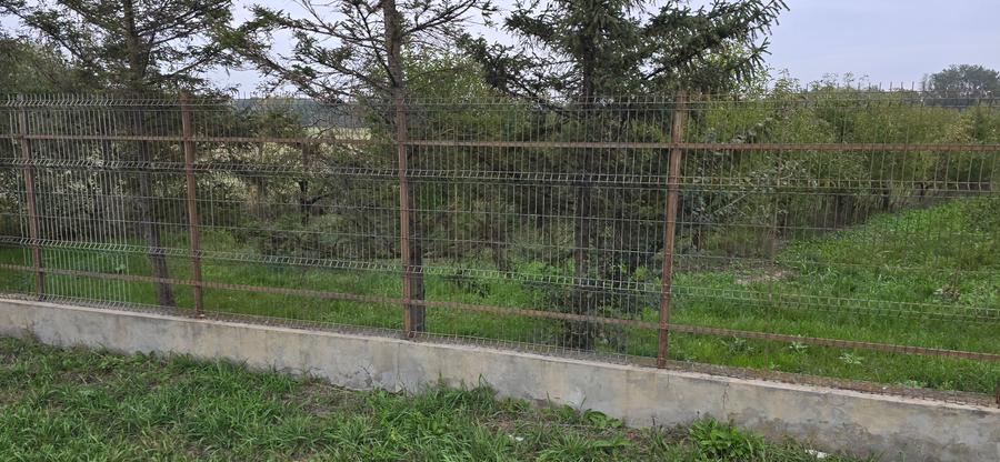 LIVADA DE VANZARE FOCSANI-DUMBRAVITA 1,8 HA