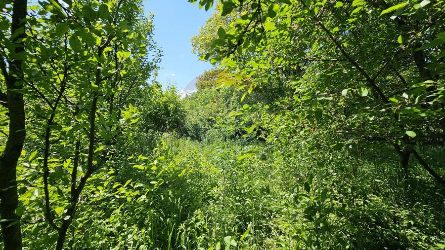 Casă / Vilă în zona Zamca, Suceava