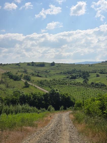 Casa de vanzare la sosea in Girbovat, langa Bozovici, 5 camere