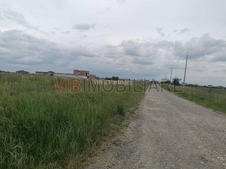Terenuri de vânzare | Săcălaz| Parcele variate + oportunități investiționale - 7