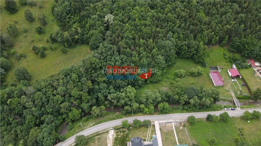 Teren ideal pentru cabană sau pensiune în Poiana Galdei - 5