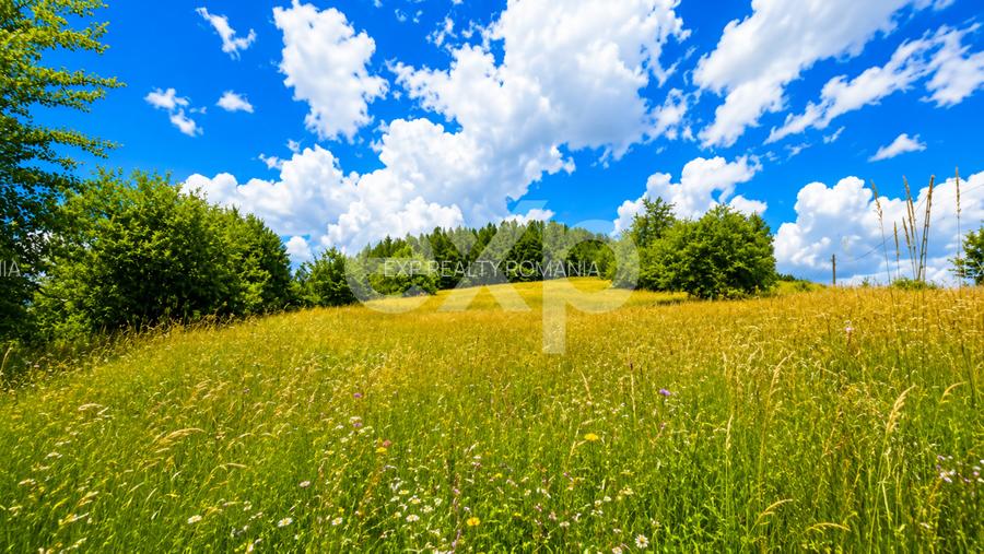 PANORAMA POIANA MĂRULUI | Teren cu potențial de dezvoltare zoan After Hills - 3