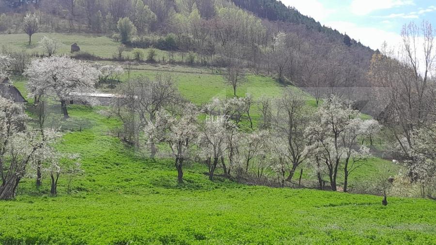 Casa individuala, 3500 mp teren, zona Vintu de Jos, Inuri - 4