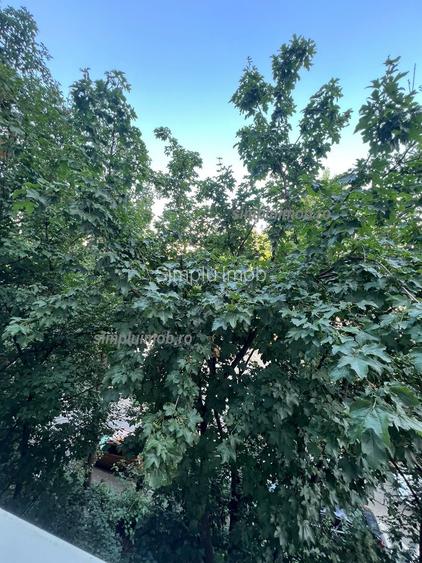 Decomandat Brancoveanu 2 Camere Parcare - 11