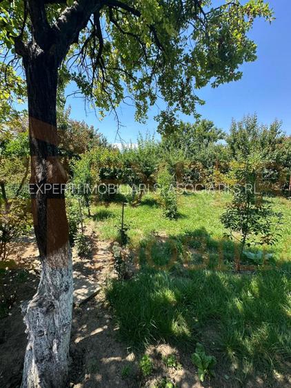 Casă 3 camere de vânzare în Viile Noi – Anda, Constanța | Teren 700 mp - 19