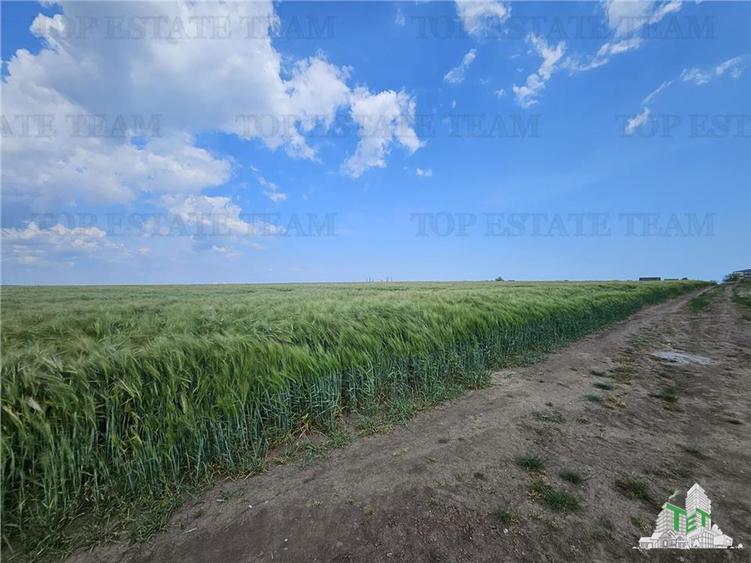 TEREN INTRAVILAN 50000 MP AGIGEA ZONA RO RO