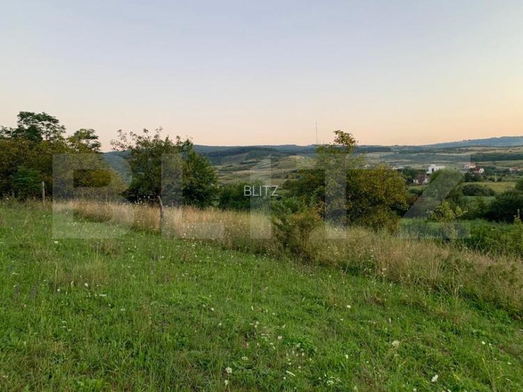 Teren intravilan,18000 mp, situat in  Sopor, Exclusivitate! - 4