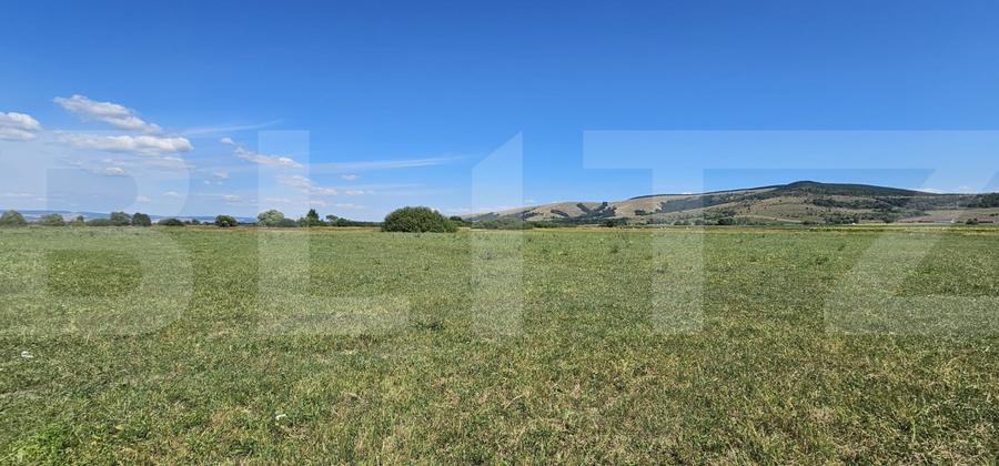 Teren agricol, 7 hectare, zona Ozun