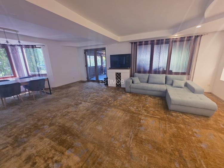 Inchiriez casa Bunloc Sacele-Timisul de Jos cuacces auto pet friendly - 20