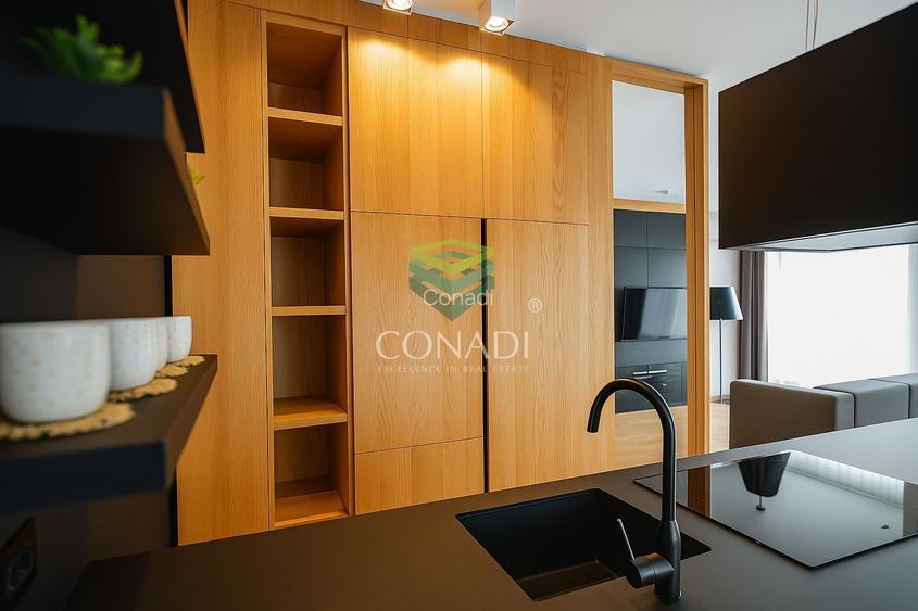 Penthouse Zona Domenii | Terasa Panoramica | Dotari Premium - 6
