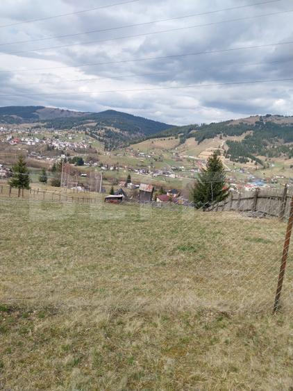 Teren intravilan, 4000 mp, Vatra Dornei