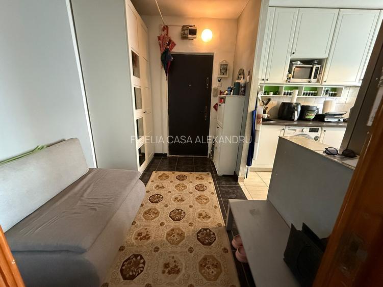 Apartament 3 camere de vanzare Mircea cel Batran - 5