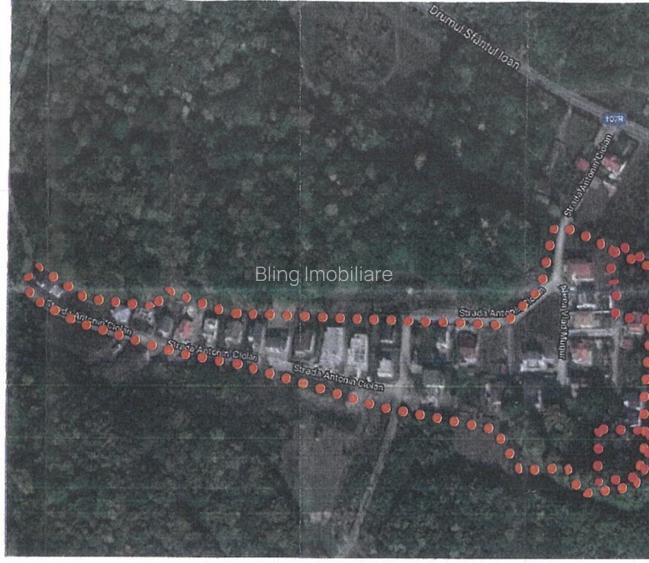 Teren intravilan 1610 mp în Făget – Strada Antonin Ciolan, lângă pădure - 2