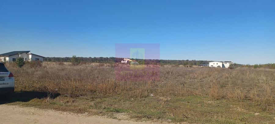 Săbăreni, teren rezidential 6290 mp, cu 52m FS, utilitati in apropiere