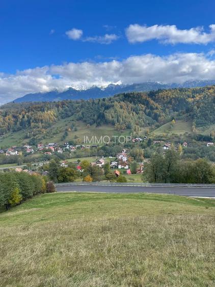 Teren extravilan cu priveliste catre Bucegi – Moieciu de Jos 4.700 mp - 6