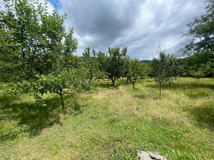 CASĂ INDIVIDUALĂ | 100 MP UTILI | 4.400 MP TEREN | PIANU DE SUS