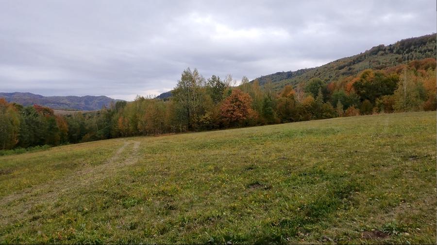 Teren ideal recreere/conectare cu natura/zona Fagaras/achitare in rate