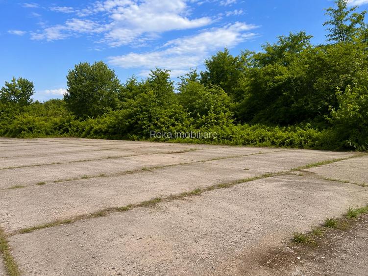 11.180 mp intravilan Drăgășani | Platformă betonată | POT până la 60% | Toate ut - 6
