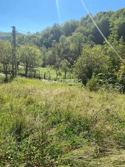 TEREN DE VANZARE INTRAVILAN  2.500MP | VISINESTI I DEALURILE SULTANULUI I - 4