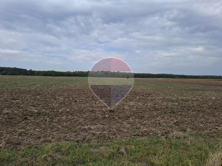 Investitie vanzare teren intravilan 26.666mp la DN3| Vizavi de Makita|