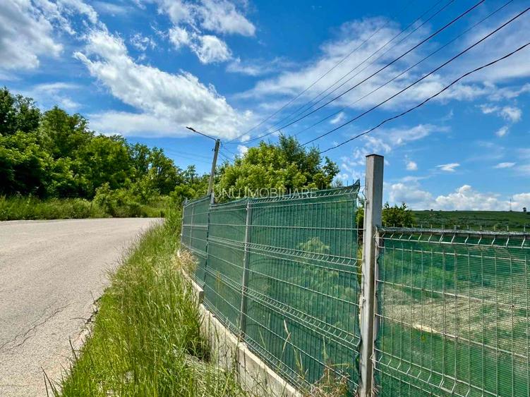 Teren intravilan 1300 mp în Dorobanț, Aroneanu, Iași 25 m deschidere asfalt - 2