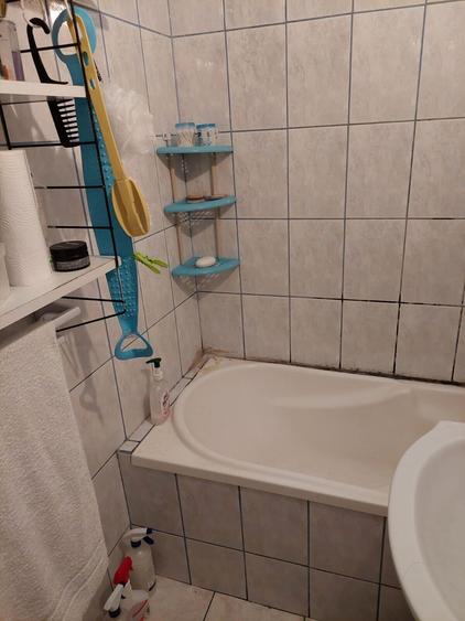 Titan - Campia Libertatii - Parc AI Cuza- garsoniera decomandata