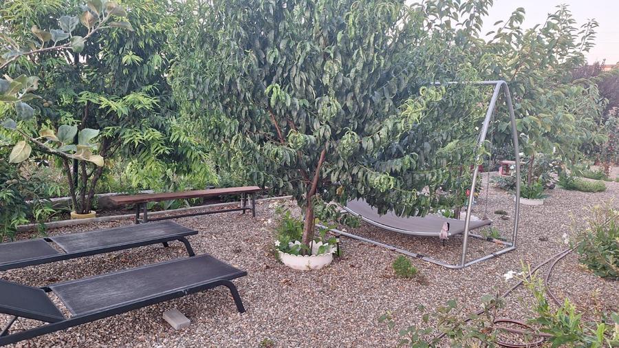 VILA UNICAT ULTRALUX P+1 +CASA CU TEREN 1412MP ZONA PALAZU MARE