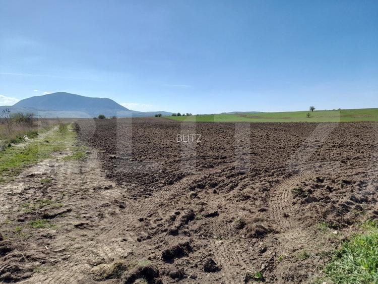 TEREN Extravilan 15000 MP în Zona Codlea - 3
