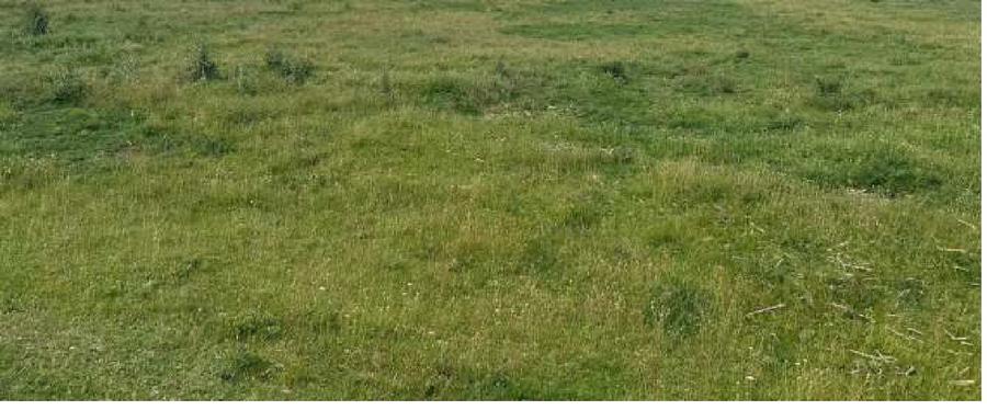 Teren extravilan agricol - Fundeni jud Galati