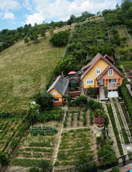 Casă individuală de vânzare – zonă liniștită, teren generos 1800 mp -228mp utili