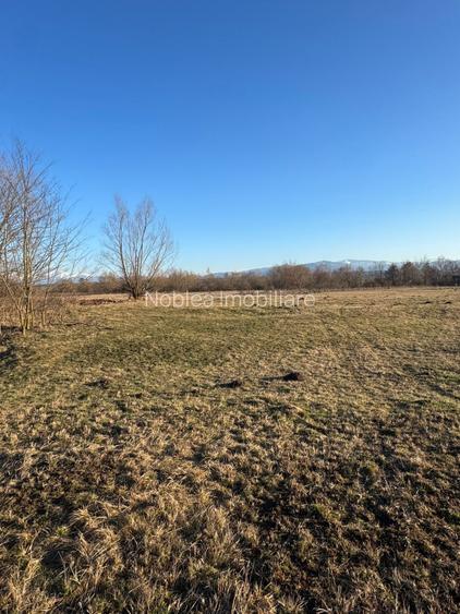 Oază de liniște cu vedere la munți – 2.400 mp lângă Aeroportul Sibiu (Cristian) - 2