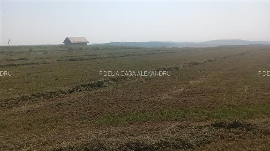 Teren pentru constructii case  de vanzare Iasi, Horlesti, - 3
