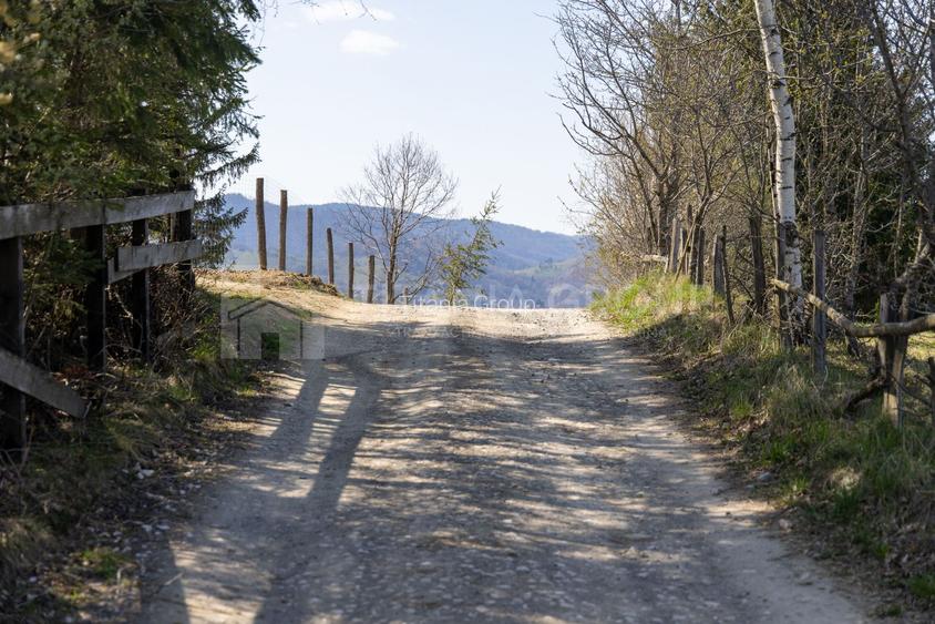 🌿 Teren Intravilan 3.791 mp | Priveliște Panoramică Superbă | Poiana Mărului - 6