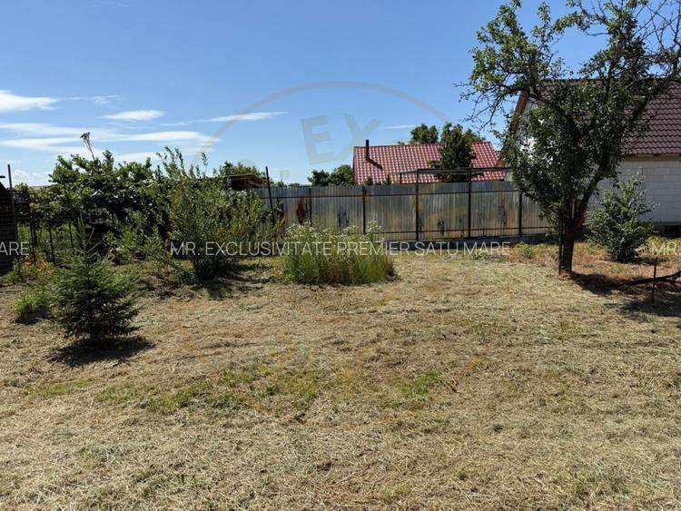 Casa de vânzare in Livada , Satu Mare - 20