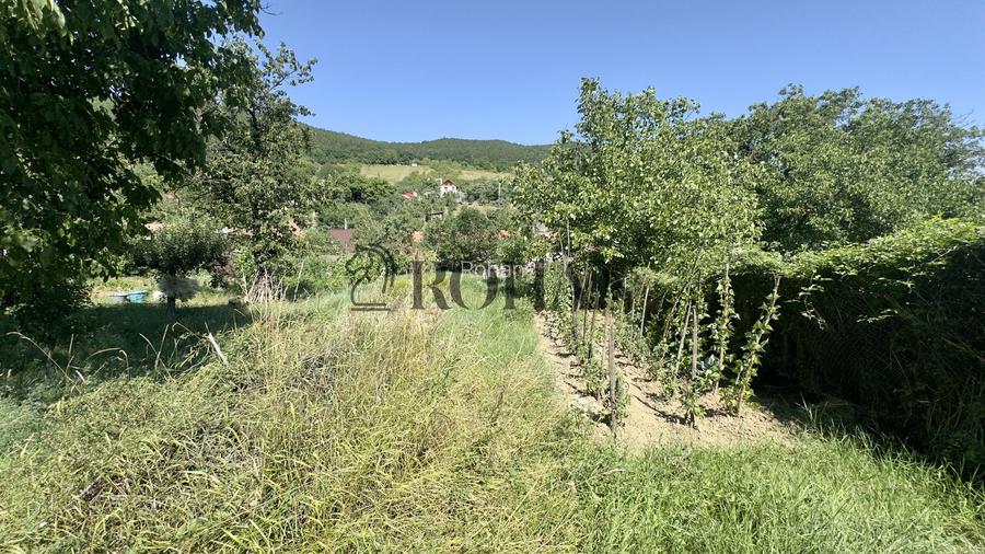 Casă + Anexă Cricău | 2.015 mp teren - 6