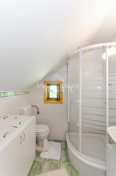 Casa 3 camere, 840 mp teren care include padure, Paltinis - 15