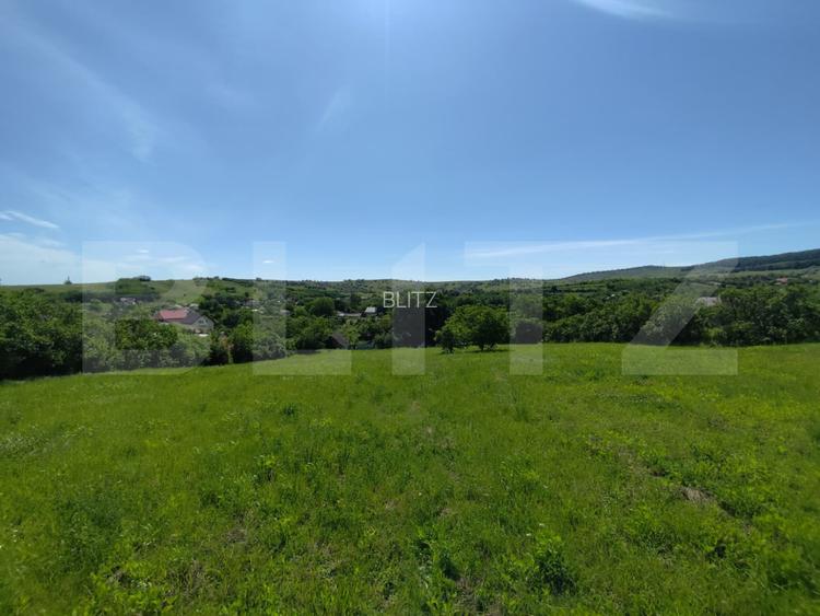Casa 3 camere, 110 mp, 4800 mp teren, zona Horlesti - 4