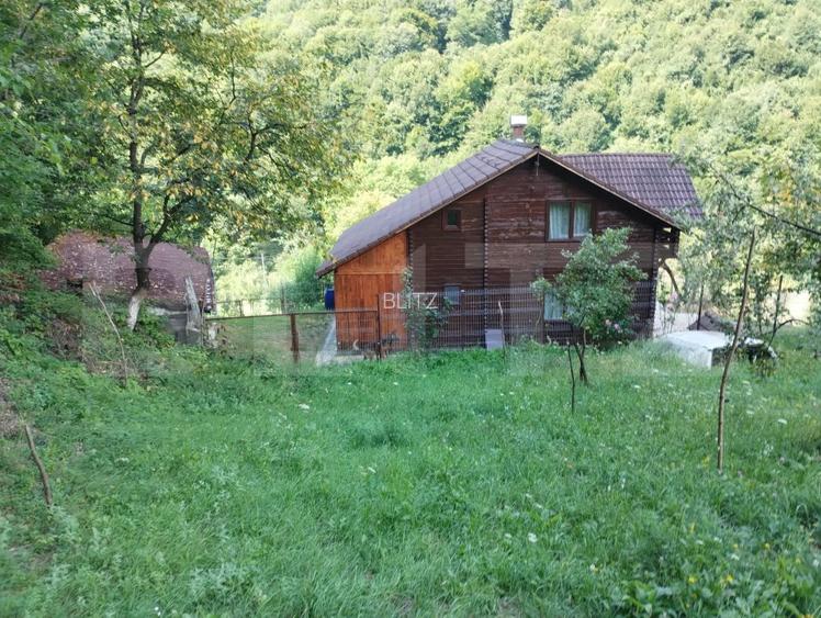 Cabana 3 cam,2 nivele 100 mp+teren extravilan 2,5 ha+1 ha padure, langa Nasaud - 2