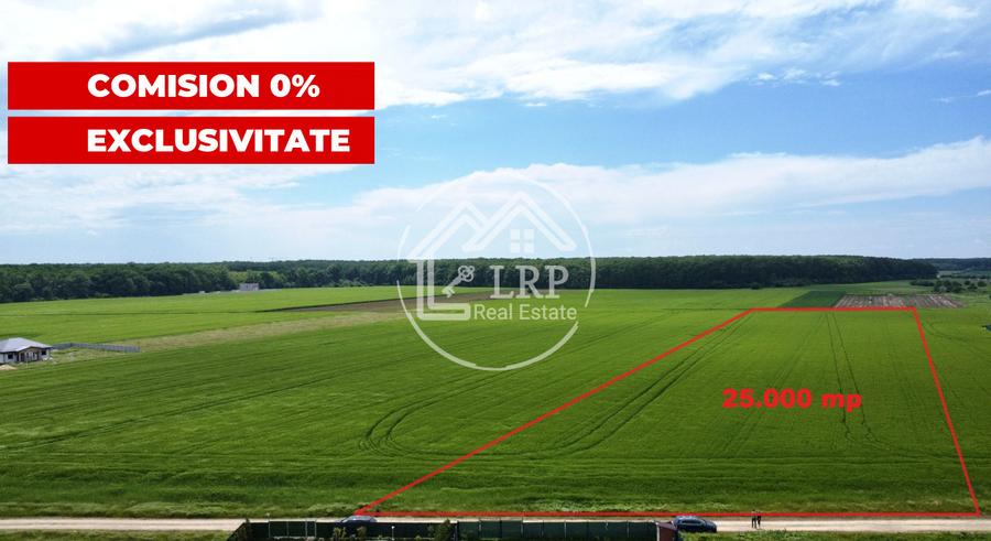 OPORTUNITATE INVESTIȚIE:Teren intravilan 25.000mp Dascălu-Pădure, parcelabil