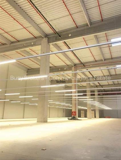 Spatiu Industrial - 4000 mp - Logistica - Productie - Depozitare - Distributie - 3