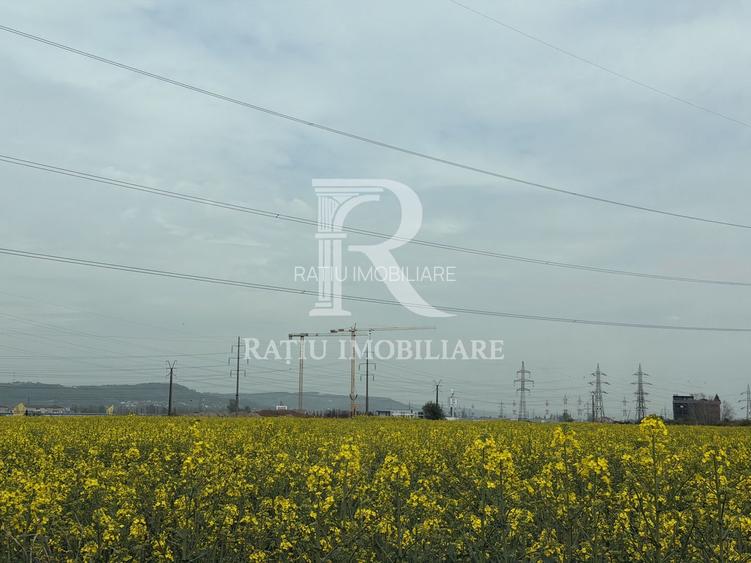 Development Site 3,12 Ha | Rezidențial + Comercial | DN76 | Oradea - 7