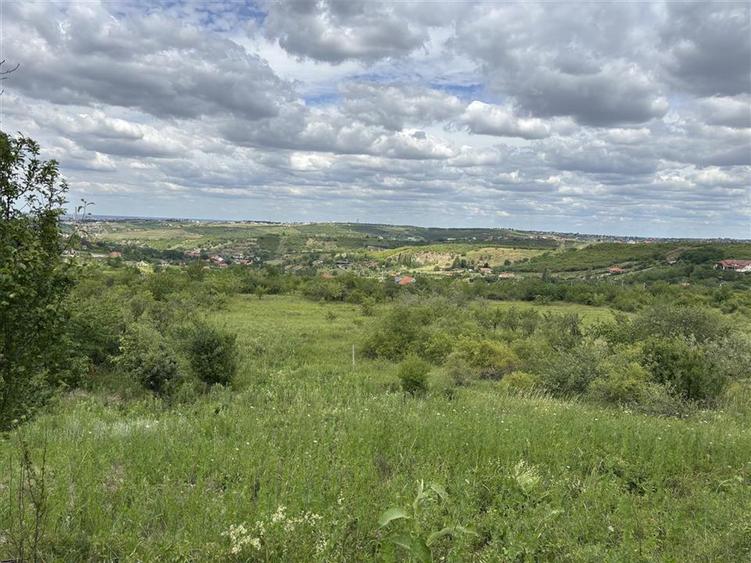 TEREN INTRAVILAN  | 1.824 MP  | DEALURI  | ORADEA