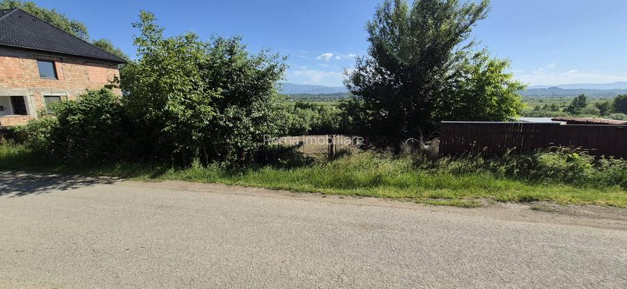 Teren intravilan de vânzare – Coltău, Maramureș | Zonă rezidențială de case - 5