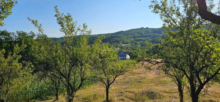 VÂNZARE MOȘIE – Sat Mitrofani, Comuna Mitrofani, jud. Vâlcea - 5