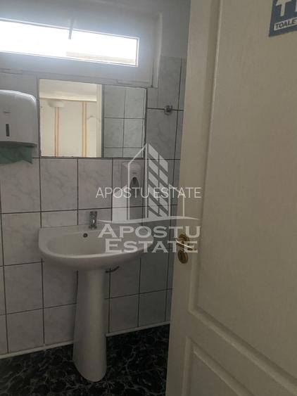 Casa unifamiliala în Timișoara,cu spațiul comercial - 20