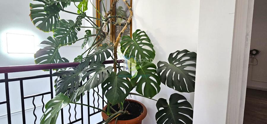 Apartament in vila, 4 camere, nemobilat, zona Hala Traian/Calarasilor - 2