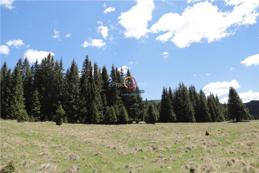 terenuri speciale Padina Busteni, sunt dispuse ca o veritabila coroana in jurul - 10