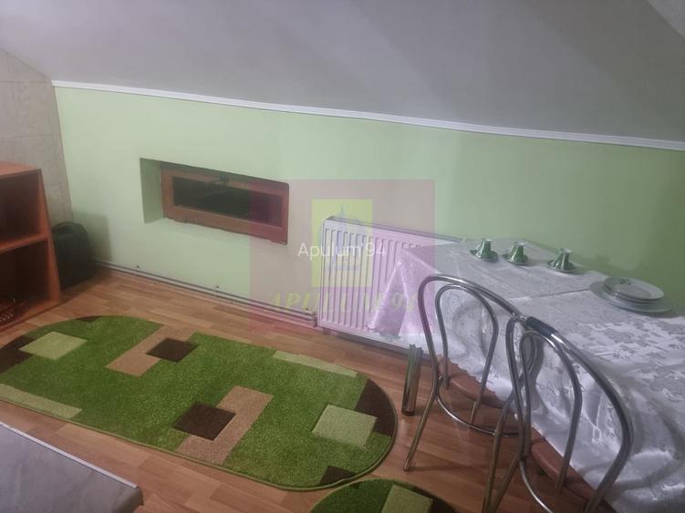 ILFOV - SE VINDE CASA IN ISLAZ / COM. BRANESTI - 19
